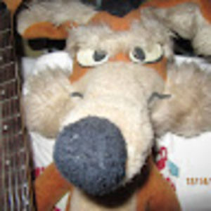 Meet your Posher, Kenny